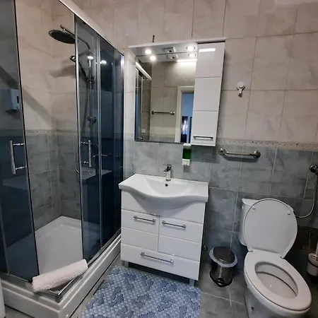 Apartment Pavlovic 1 *